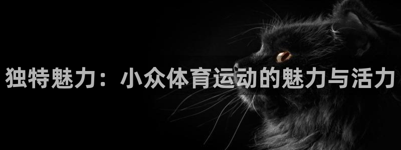 三亿体育网页版