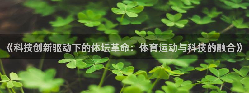 三亿体育登录