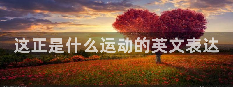 三亿体育网页版
