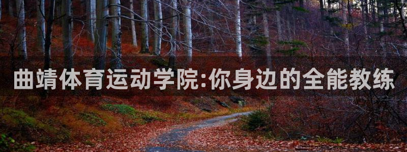 三亿体育