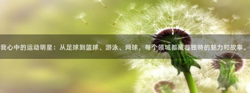 三亿体育