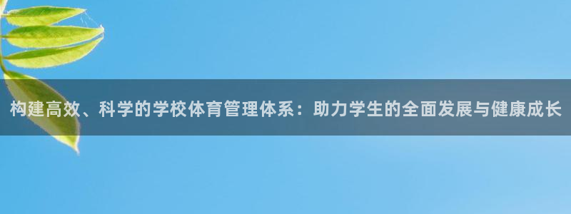 三亿体育网页版