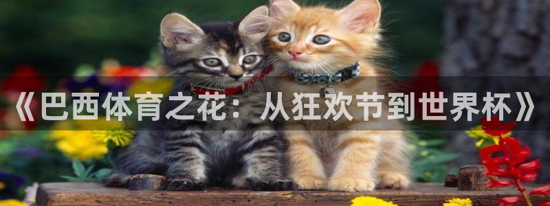 三亿体育