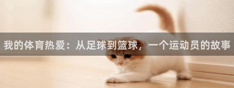 三亿体育网