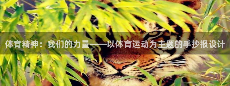 三亿体育登录