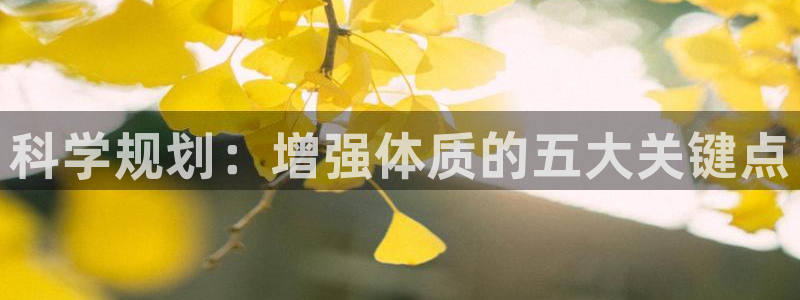 三亿体育