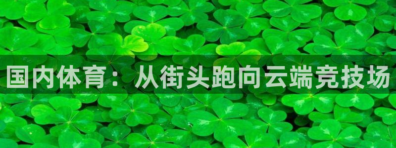三亿体育