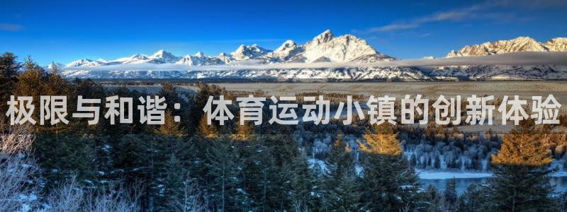 三亿体育网页版