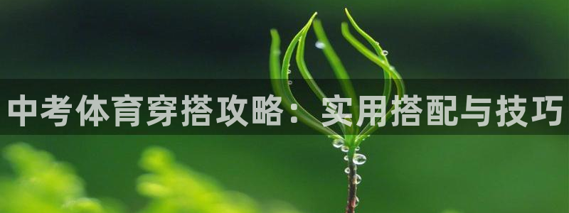 三亿体育网页版
