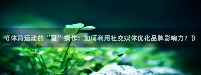 三亿体育登录