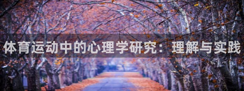 三亿体育