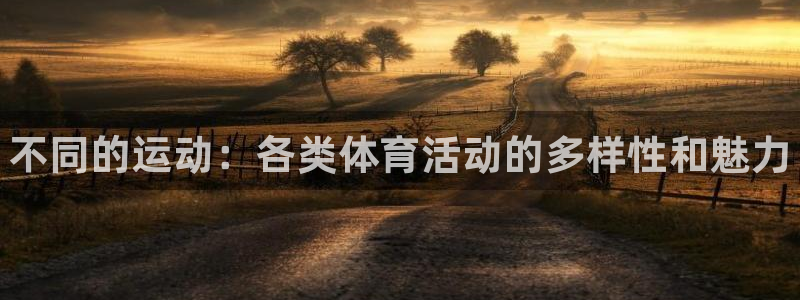三亿体育网