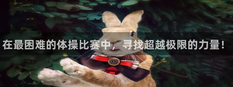 三亿体育网