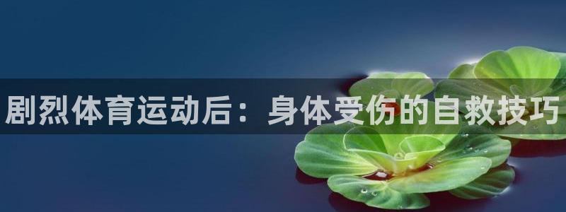 三亿体育