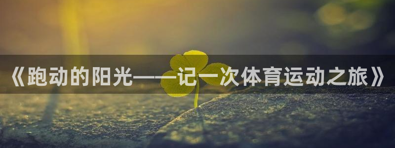 三亿体育网页版