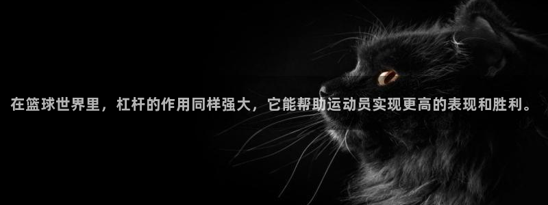 三亿体育网页版
