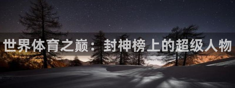 三亿体育