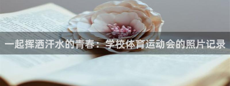 三亿体育网