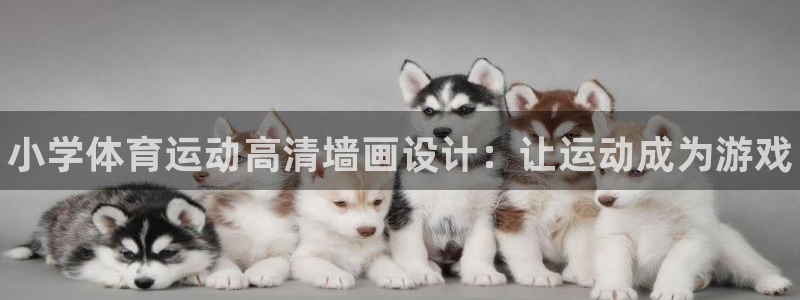 三亿体育网