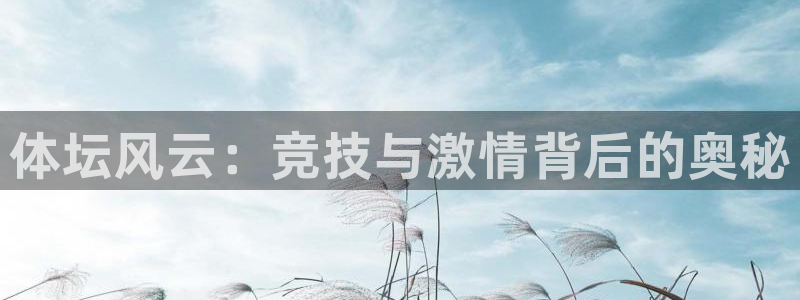 三亿体育网
