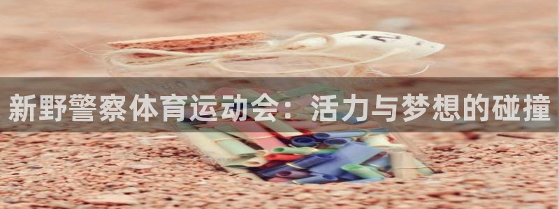三亿体育登录