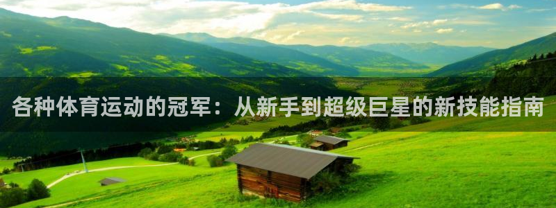 三亿体育网页版