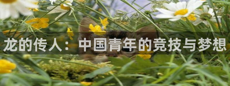 三亿体育