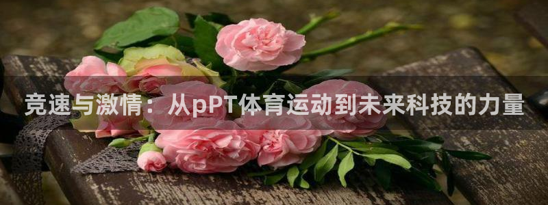 三亿体育网
