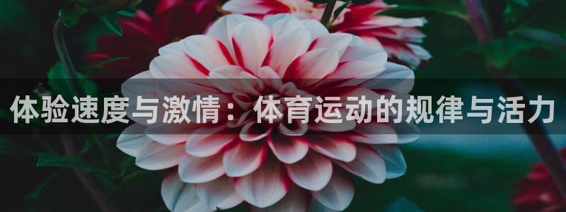三亿体育