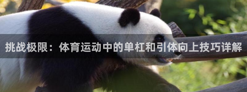 三亿体育网页版