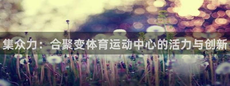三亿体育网页版