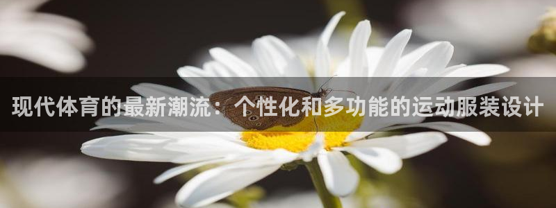三亿体育网