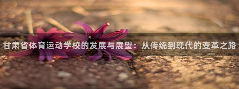 三亿体育