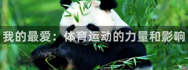 三亿体育网